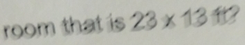 room that is 23* 13ft?