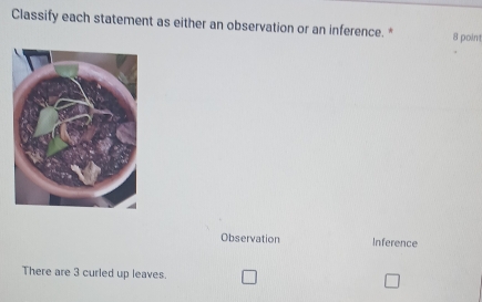 Classify each statement as either an observation or an inference. * 8 point
Observation Inference
There are 3 curled up leaves.