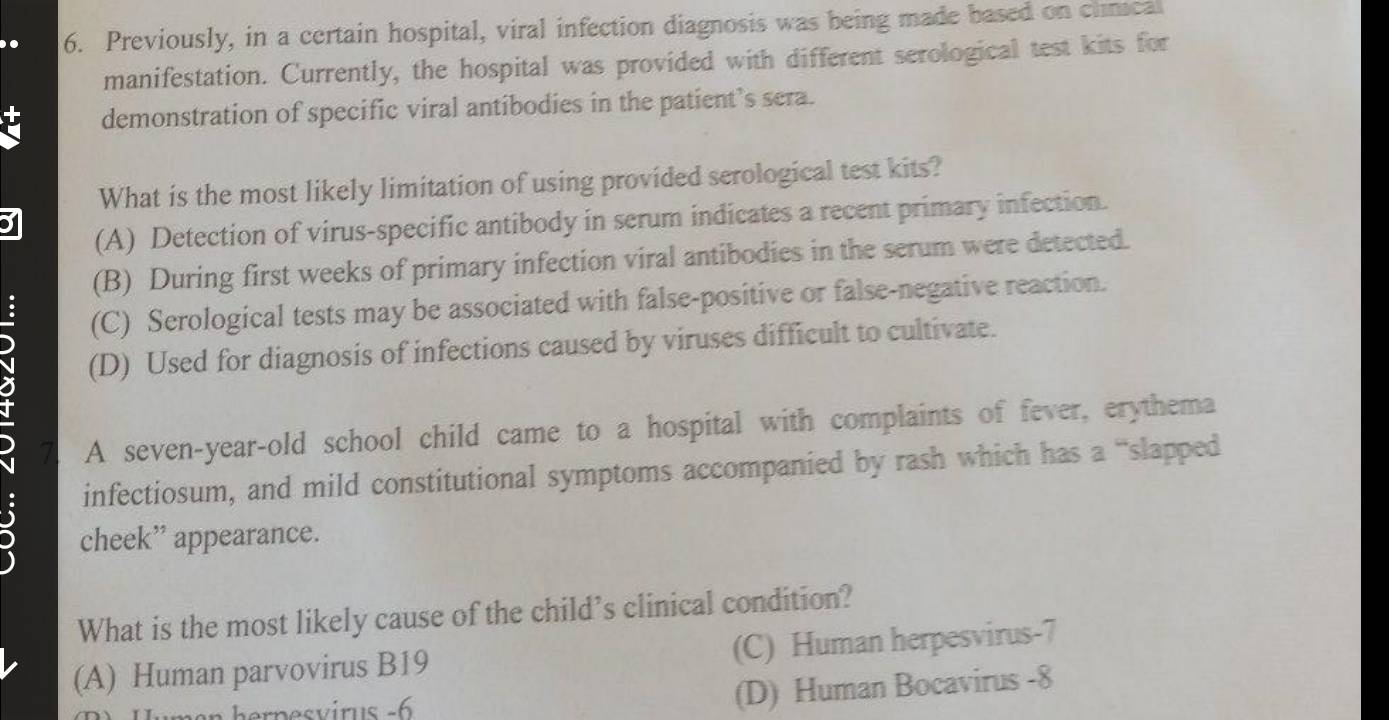 Previously, in a certain hospital, viral infection diagnosis was being made based on clmcal
manifestation. Currently, the hospital was provided with different serological test kits for
demonstration of specific viral antibodies in the patient’s sera.
What is the most likely limitation of using provided serological test kits?
(A) Detection of virus-specific antibody in serum indicates a recent primary infection.
(B) During first weeks of primary infection viral antibodies in the serum were detected.
(C) Serological tests may be associated with false-positive or false-negative reaction.
(D) Used for diagnosis of infections caused by viruses difficult to cultivate.
A seven-year-old school child came to a hospital with complaints of fever, erythema
infectiosum, and mild constitutional symptoms accompanied by rash which has a “slapped
cheek” appearance.
What is the most likely cause of the child’s clinical condition?
(A) Human parvovirus B19 (C) Human herpesvirus-7
(D) Human Bocavirus -8