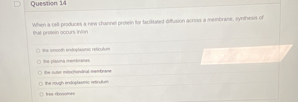 When a cell produces a new channel protein for facilitated diffusion across a membrane, synthesis of
that protein occurs in/on
the smooth endoplasmic reticulum
the plasma membranes
the outer mitochondrial membrane
the rough endoplasmic reticulum
free ribosomes