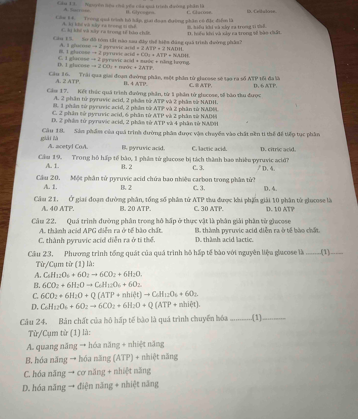 Cầu 13. Nguyên liệu chủ yếu của quá trình đường phân là
A. Sucrose. B. Glycogen. C. Glucose. D. Cellulose.
Câu 14. Trong quá trình hô hấp, giai đoạn đường phân có đặc điểm là
A. kí khí và xảy ra trong tí thế.
B. hiếu khí và xảy ra trong ti thể.
C. kị khí và xảy ra trong tế bào chất.
D. hiếu khí và xảy ra trong tế bào chất.
Câu 15. Sơ đồ tóm tất nào sau đây thể hiện đúng quá trình đường phân?
A. 1 glucose to 2pyruvica cid +2ATP+2NADH.
B. 1 glucose to 2pyruvicacid+CO_2+ATP+NADH.
C. 1 glucose to 2 pyruv cacid+nudc+r lăng lượng.
D. 1 glucose to 2CO_2+nudr+2ATP.
Cầu 16. Trải qua giai đoạn đường phân, một phân tử glucose sẽ tạo ra số ATP tối đa là
A. 2 ATP. B. 4 ATP. C. 8 ATP. D. 6 ATP.
Câu 17. Kết thúc quá trình đường phân, từ 1 phân tử glucose, tế bào thu được
A. 2 phân tử pyruvic acid, 2 phân tử ATP và 2 phân tử NADH.
B. 1 phân tử pyruvic acid, 2 phân tử ATP và 2 phân tử NADH.
C. 2 phân tử pyruvic acid, 6 phân tử ATP và 2 phân tử NADH
D. 2 phân tử pyruvic acid, 2 phân tử ATP và 4 phân tử NADH
Câu 18. Sản phẩm của quá trình đường phân được vận chuyển vào chất nền ti thể để tiếp tục phân
giải là
A. acetyl CoA. B. pyruvic acid. C. lactic acid. D. citric acid.
Câu 19. Trong hô hấp tế bào, 1 phân tử glucose bị tách thành bao nhiêu pyruvic acid?
A. 1. B. 2 C. 3. D. 4.
Câu 20. Một phân tử pyruvic acid chứa bao nhiêu carbon trong phân tử?
A. 1. B. 2 C. 3. D. 4.
Câu 21. Ở giai đoạn đường phân, tổng số phân tử ATP thu được khi phẩn giải 10 phân tử glucose là
A. 40 ATP. B. 20 ATP. C. 30 ATP. D. 10 ATP
Câu 22. Quá trình đường phân trong hô hấp ở thực vật là phân giải phân tử glucose
A. thành acid APG diễn ra ở tế bào chất.  B. thành pyruvic acid diễn ra ở tế bào chất.
C. thành pyruvic acid diễn ra ở ti thể. D. thành acid lactic.
Câu 23. Phương trình tổng quát của quá trình hô hấp tế bào với nguyên liệu glucose là ...........(1)........
Từ/Cụm từ (1) là:
A. C_6H_12O_6+6O_2to 6CO_2+6H_2O.
B. 6CO_2+6H_2Oto C_6H_12O_6+6O_2.
C. 6CO_2+6H_2O+Q(ATP+nhihat et)to C_6H_12O_6+6O_2.
D. C_6H_12O_6+6O_2to 6CO_2+6H_2O+Q(ATP+nhihat et).
Câu 24. Bản chất của hô hấp tế bào là quá trình chuyển hóa _.(1)_
Từ/Cụm từ (1) là:
A. quang năng → hóa năng + nhiệt năng
B. hóa năng → hóa năng (ATP) + nhiệt năng
C. hóa năng → cơ năng + nhiệt năng
D. hóa năng → điện năng + nhiệt năng