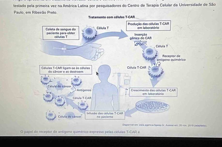 testado pela primeira vez na América Latina por pesquisadores do Centro de Terapía Celular da Universidade de São 
Paulo, em Ribeirão Preto. 
Disponivel em. www.agencia fapesp.br. Acesso em. 20 nov. 2019 (adaptado). 
O papel do receptor de antígeno quimérico expresso pelas células T-CAR é