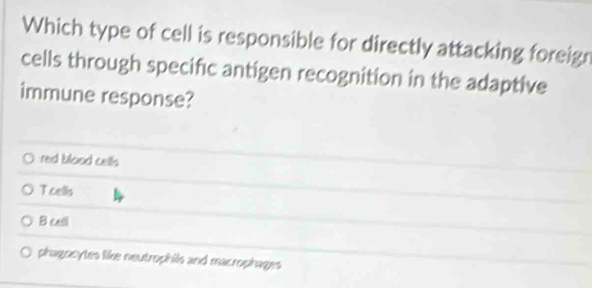 Which type of cell is responsible for directly attacking foreign
cells through specific antigen recognition in the adaptive
immune response?
red blood cells
T cells
B cell
phagncytes like neutrophils and macrophages