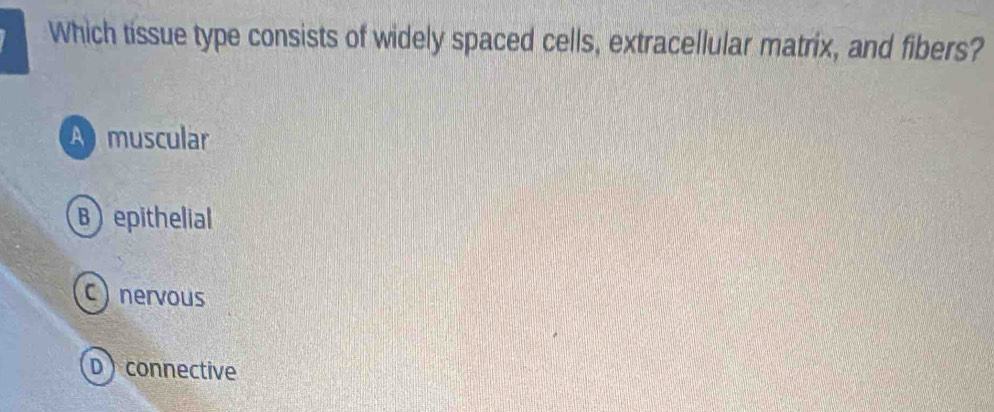 Which tissue type consists of widely spaced cells, extracellular matrix, and fibers?
A muscular
Bepithelial
C) nervous
Dconnective