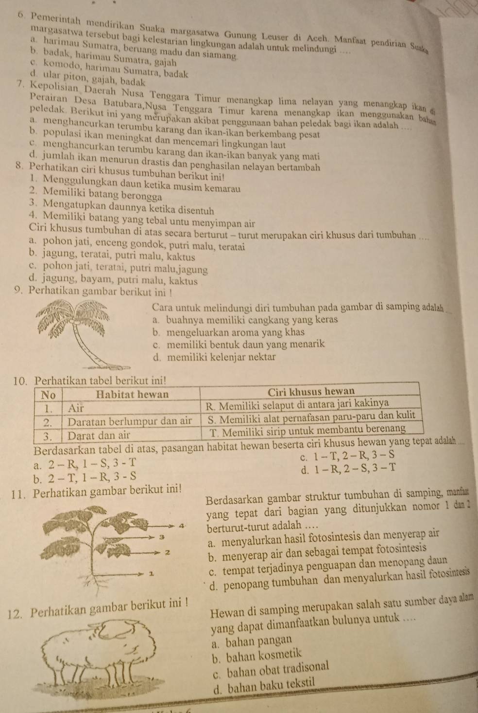 Pemerintah mendirikan Suaka margasatwa Gunung Leuser di Aceh. Manfaat pendirian Su
margasatwa tersebut bagi kelestarian lingkungan adalah untuk melindungi ...
a. harimau Sumatra, beruang madu dan siamang.
b. badak, harimau Sumatra, gajah
c. komodo, harimau Sumatra, badak
d. ular piton, gajah, badak
7. Kepolisian Daerah Nusa Tenggara Timur menangkap lima nelayan yang menangkap ikan 
Perairan Desa Batubara,Nusa Tenggara Timur karena menangkap ikan menggunakan baha
peledak. Berikut ini yang merupakan akibat penggunaan bahan peledak bagi ikan adalah ....
a. menghancurkan terumbu karang dan ikan-ikan berkembang pesat
b. populasi ikan meningkat dan mencemari lingkungan laut
c.menghancurkan terumbu karang dan ikan-ikan banyak yang mati
d. jumlah ikan menurun drastis dan penghasilan nelayan bertambah
8. Perhatikan ciri khusus tumbuhan berikut ini!
1. Menggulungkan daun ketika musim kemarau
2. Memiliki batang berongga
3. Mengatupkan daunnya ketika disentuh
4. Memiliki batang yang tebal untu menyimpan air
Ciri khusus tumbuhan di atas secara berturut - turut merupakan ciri khusus dari tumbuhan ...
a. pohon jati, enceng gondok, putri malu, teratai
b. jagung, teratai, putri malu, kaktus
c. pohon jati, teratai, putri malu,jagung
d. jagung, bayam, putri malu, kaktus
9. Perhatikan gambar berikut ini !
Cara untuk melindungi diri tumbuhan pada gambar di samping adalah
a. buahnya memiliki cangkang yang keras
b. mengeluarkan aroma yang khas
c. memiliki bentuk daun yang menarik
d. memiliki kelenjar nektar
Berdasarkan tabel di atas, pasangan habitat hewan beser
a. 2 - R, 1 - S, 3 - T c. 1- T, 2 - R 3-5
d.
b. 2 - T, 1 - R, 3 - S 1 - R, 2 - S, 3 - T
11. Perhatikan gambar berikut ini!
Berdasarkan gambar struktur tumbuhan di samping, manfar
yang tepat dari bagian yang ditunjukkan nomor 1 da 2
berturut-turut adalah ….
a. menyalurkan hasil fotosintesis dan menyerap air
b. menyerap air dan sebagai tempat fotosintesis
c. tempat terjadinya penguapan dan menopang daun
d. penopang tumbuhan dan menyalurkan hasil fotosintesis
Hewan di samping merupakan salah satu sumber daya alam
12. Perhatikan gambar berikut ini !
yang dapat dimanfaatkan bulunya untuk ....
a. bahan pangan
b. bahan kosmetik
c. bahan obat tradisonal
d. bahan baku tekstil