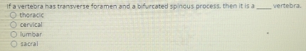 If a vertebra has transverse foramen and a bifurcated spinous process, then it is a_ vertebra.
thoracic
cervical
lumbar
sacral