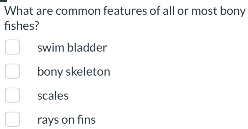 What are common features of all or most bony
fishes?
swim bladder
bony skeleton
scales
rays on fins