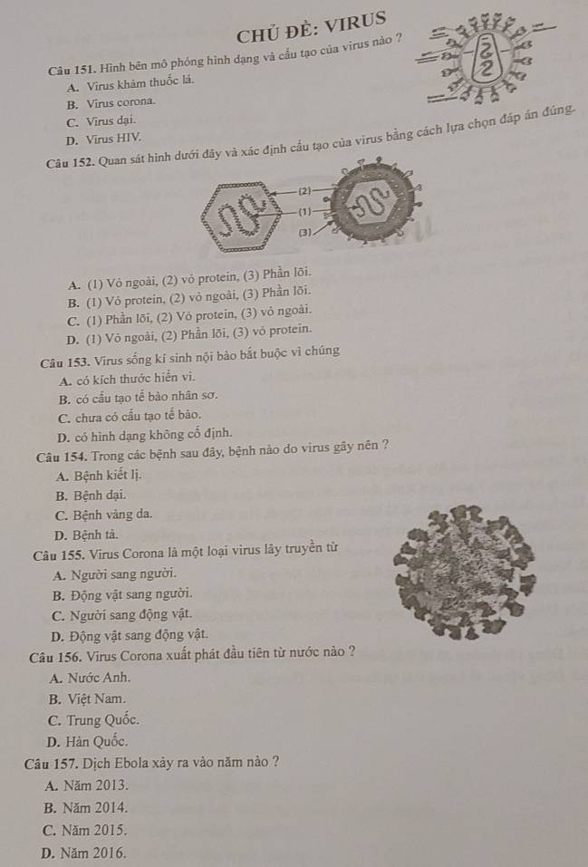 Chủ ĐÈ: VIRUS
Câu 151. Hình bên mô phóng hình dạng và cầu tạo của virus nào ?
A. Virus khảm thuốc lá.
B. Virus corona.
C. Virus dại.
Câu 152. Quan sát hìnhác định cầu tạo của virus bằng cách lựa chọn đáp án đúng.
D. Virus HIV.
A. (1) Vỏ ngoài, (2) vỏ protein, (3) Phần lõi.
B. (1) Vỏ protein, (2) vỏ ngoài, (3) Phần lõi.
C. (1) Phần lõi, (2) Vỏ protein, (3) vỏ ngoài.
D. (1) Vỏ ngoài, (2) Phần lõi, (3) vỏ protein.
Câu 153. Virus sống kí sinh nội bào bắt buộc vì chúng
A. có kích thước hiển vi.
B. có cầu tạo tế bào nhân sơ.
C. chưa có cấu tạo tế bảo.
D. có hình dạng không cố định.
Câu 154. Trong các bệnh sau đây, bệnh nào do virus gây nên ?
A. Bệnh kiết lị.
B. Bệnh dại.
C. Bệnh vàng da.
D. Bệnh tả.
Câu 155. Virus Corona là một loại virus lây truyền từ
A. Người sang người.
B. Động vật sang người.
C. Người sang động vật.
D. Động vật sang động vật.
Câu 156. Virus Corona xuất phát đầu tiên từ nước nào ?
A. Nước Anh.
B. Việt Nam.
C. Trung Quốc.
D. Hàn Quốc.
Câu 157. Dịch Ebola xảy ra vào năm nào ?
A. Năm 2013.
B. Năm 2014.
C. Năm 2015.
D. Năm 2016.