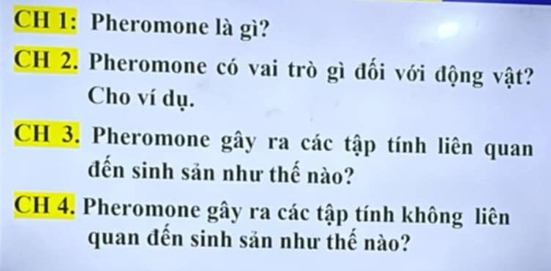 CH 1: Pheromone là gì? 
CH 2. Pheromone có vai trò gì đối với động vật? 
Cho ví dụ. 
CH 3. Pheromone gây ra các tập tính liên quan 
đến sinh sản như thế nào? 
CH 4. Pheromone gây ra các tập tính không liên 
quan đến sinh sản như thế nào?