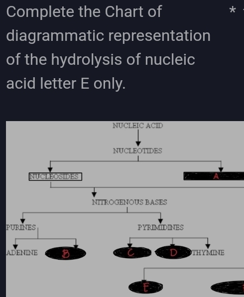 Complete the Chart of
*
diagrammatic representation
of the hydrolysis of nucleic
acid letter E only.
NUCLEIC ACID
NUCLEOTIDES
NUCLEOSIDES a
NITROGENOUS BASES
PURINES PYRIMIDINES
ADENINE B D THYMINE