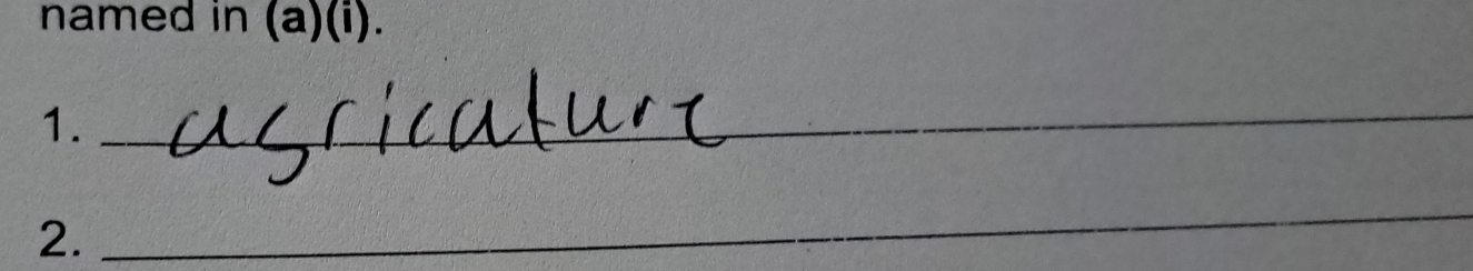 named in (a)(i). 
1._ 
2. 
_