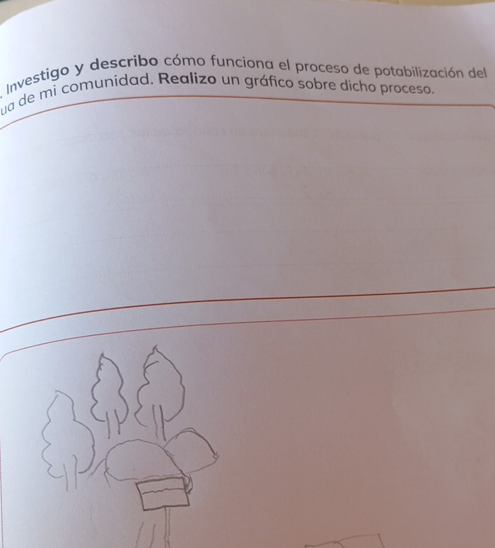 Investigo y describo cómo funciona el proceso de potabilización del 
ua de mi comunidad. Realizo un gráfico sobre dicho proceso.