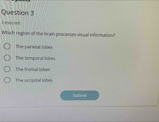 tries left
Which region of the brain processes visual information?
The parietal lobes
The temporal lobes
The frontal lobes
The occipital lobes
Submit