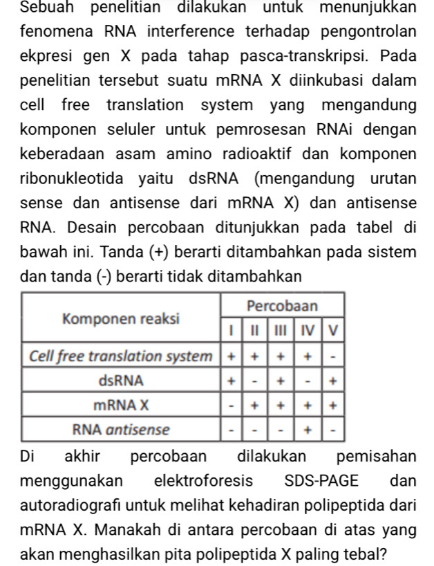 Sebuah penelitian dilakukan untuk menunjukkan 
fenomena RNA interference terhadap pengontrolan 
ekpresi gen X pada tahap pasca-transkripsi. Pada 
penelitian tersebut suatu mRNA X diinkubasi dalam 
cell free translation system yang mengandun 
komponen seluler untuk pemrosesan RNAi dengan 
keberadaan asam amino radioaktif dan komponen 
ribonukleotida yaitu dsRNA (mengandung urutan 
sense dan antisense dari mRNA X) dan antisense 
RNA. Desain percobaan ditunjukkan pada tabel di 
bawah ini. Tanda (+) berarti ditambahkan pada sistem 
dan tanda (-) berarti tidak ditambahkan 
Di akhir percobaan dilakukan pemisahan 
menggunakan elektroforesis SDS-PAGE dan 
autoradiografı untuk melihat kehadiran polipeptida dari 
mRNA X. Manakah di antara percobaan di atas yang 
akan menghasilkan pita polipeptida X paling tebal?