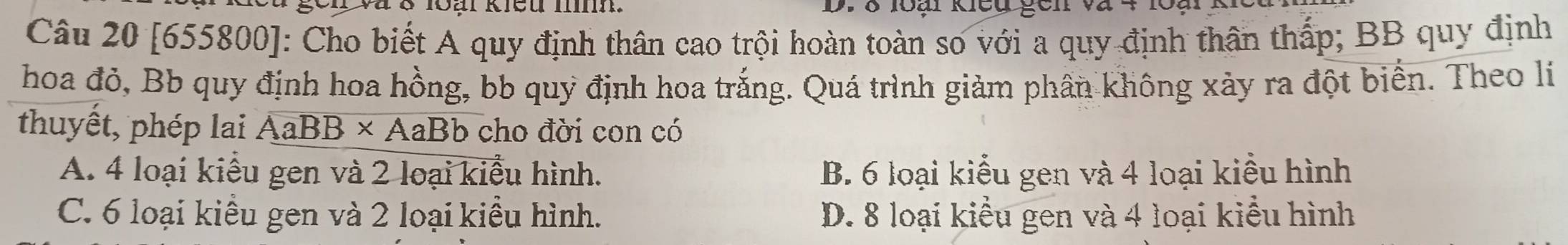 8 loại kiểu gên
Câu 20 [655800]: Cho biết A quy định thân cao trội hoàn toàn so với a quy định thân thấp; BB quy định
hoa đỏ, Bb quy định hoa hồng, bb quy định hoa trắng. Quá trình giảm phân không xảy ra đột biển. Theo li
thuyết, phép lai overline AaBB* AaBb cho đời con có
A. 4 loại kiểu gen và 2 loại kiểu hình. B. 6 loại kiểu gen và 4 loại kiểu hình
C. 6 loại kiều gen và 2 loại kiểu hình. D. 8 loại kiểu gen và 4 loại kiểu hình