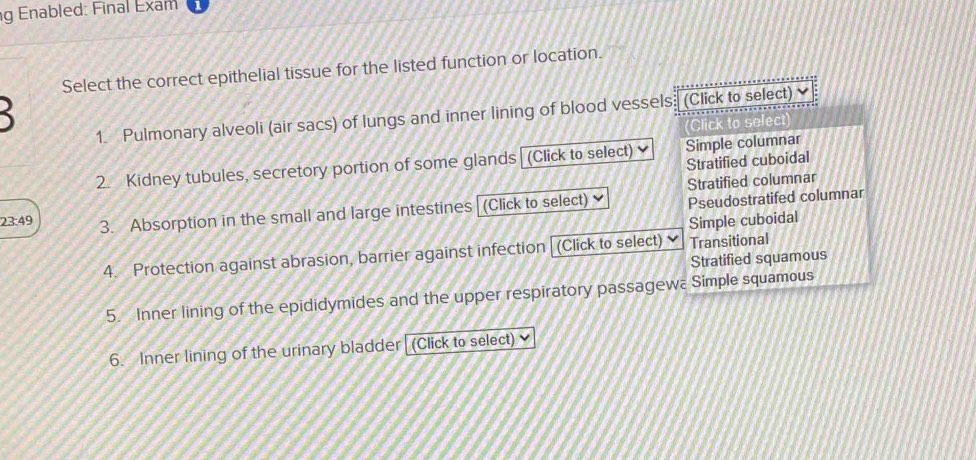 Enabled: Final Exam
Select the correct epithelial tissue for the listed function or location.

1. Pulmonary alveoli (air sacs) of lungs and inner lining of blood vessels (Click to select)
Click to select
2. Kidney tubules, secretory portion of some glands (Click to select) Simple columnar
Stratified cuboidal
Stratified columnar
23:49 3. Absorption in the small and large intestines (Click to select) Pseudostratifed columnar
Simple cuboidal
4. Protection against abrasion, barrier against infection (Click to select) Transitional
Stratified squamous
5. Inner lining of the epididymides and the upper respiratory passagewa Simple squamous
6. Inner lining of the urinary bladder[ (Click to select)