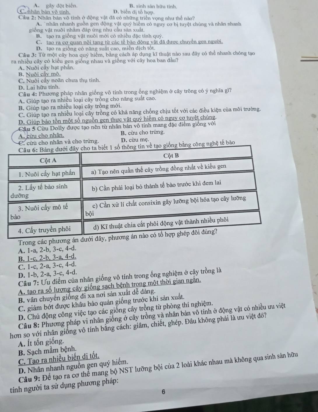 A. gây đột biến. B. sinh sản hữu tính.
C. nhân bản vô tính, D. biến dị tổ hợp.
Câu 2: Nhân bản vô tính ở động vật đã có những triển vọng như thế nào?
A. nhân nhanh guồn gen động vật quý hiếm có nguy cơ bị tuyệt chúng và nhân nhanh
giống vật nuôi nhằm đáp ứng nhu cầu sản xuất,
B. tạo ra giống vật nuôi mới có nhiều đặc tính quý.
C. tạo ra cơ quan nội tạng từ các tế bào động vật đã được chuyển gen người.
D. tạo ra giống có năng suất cao, miễn dịch tốt.
Câu 3: Từ một cây hoa quý hiểm, bằng cách áp dụng kĩ thuật nào sau đây có thể nhanh chóng tạo
ra nhiều cây có kiểu gen giống nhau và giống với cây hoa ban đầu?
A. Nuôi cầy hạt phân.
B. Nuôi cấy mô.
C. Nuôi cấy noãn chưa thụ tinh.
D. Lai hữu tính.
Câu 4: Phương pháp nhân giống vô tính trong ống nghiệm ở cây trông có ý nghĩa gì?
A. Giúp tạo ra nhiều loại cây trồng cho năng suất cao.
B. Giúp tạo ra nhiều loại cây trồng mới.
C. Giúp tạo ra nhiều loại cây trồng có khả năng chống chịu tốt với các điều kiện của môi trường.
D. Giúp bảo tồn một số nguồn gen thực vật quý hiếm có nguy cơ tuyệt chủng.
Câu 5 Cừu Dolly được tạo nên từ nhân bản vô tính mang đặc điểm giống với
A. cừu cho nhân. B. cừu cho trứng.
C. cừu cho nhân và cho trứng. D. cừu mẹ.
ông nghệ tế bào
Trong các phương á
A. 1-a, 2-b, 3-c, 4-d.
B. 1-c, 2-b, 3-a, 4-d.
C. 1-c, 2-a, 3-c, 4-d.
D. 1-b, 2-a, 3-c, 4-d.
Câu 7: Ưu điểm của nhân giống vô tính trong ống nghiệm ở cây trồng là
A. tạo ra số lượng cây giống sach bệnh trong một thời gian ngắn.
B. vân chuyển giống đi xa nơi sản xuất dễ dàng.
C. giảm bớt được khâu bảo quản giống trước khi sản xuất.
D. Chủ động công việc tạo các giống cây trồng từ phòng thí nghiệm.
Câu 8: Phương pháp vi nhân giống ở cây trồng và nhân bản vô tính ở động vật có nhiều ưu việt
hơn so với nhân giống vô tính bằng cách: giâm, chiết, ghép. Đâu không phải là ưu việt đó?
A. Ít tốn giống.
B. Sạch mầm bệnh.
C. Tạo ra nhiều biến dị tốt.
D. Nhân nhanh nguồn gen quý hiếm.
Câu 9: Để tạo ra cơ thể mang bộ NST lưỡng bội của 2 loài khác nhau mà không qua sinh sản hữu
tính người ta sử dụng phương pháp:
6