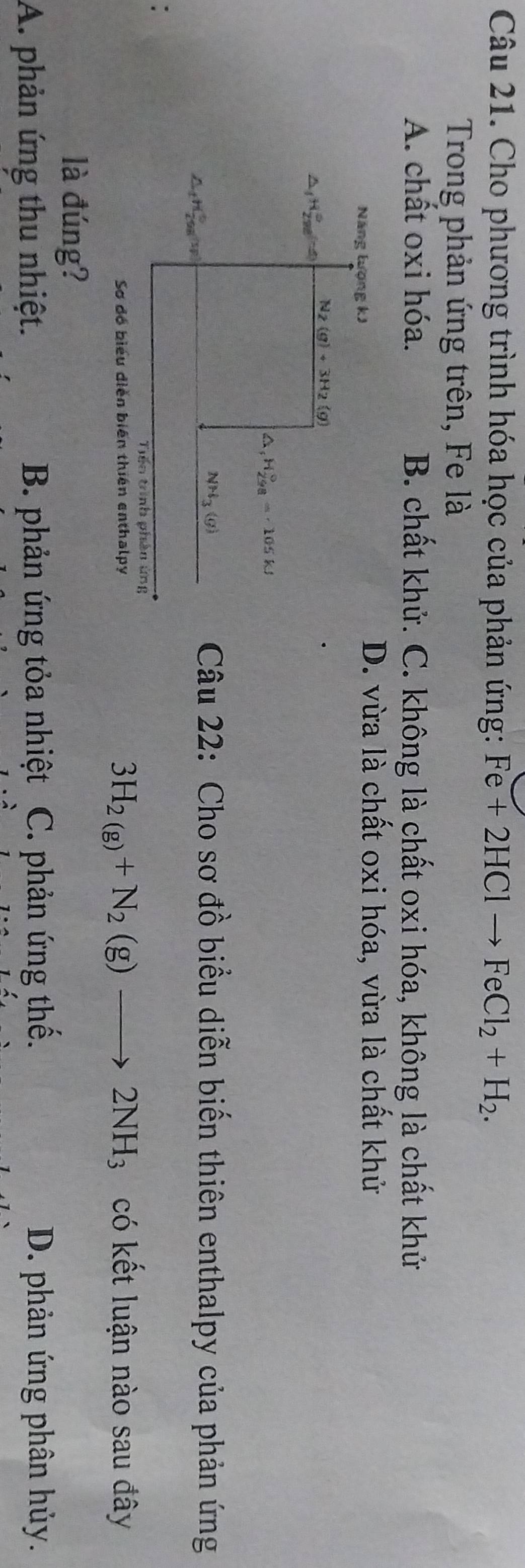 Cho phương trình hóa học của phản ứng: Fe+2HClto FeCl_2+H_2. 
Trong phản ứng trên, Fe là
A. chất oxi hóa. B. chất khử. C. không là chất oxi hóa, không là chất khử
Năng lượng k)
D. vừa là chất oxi hóa, vừa là chất khử
N_2(g)+3H_2(g)
△ _1H_(298)^(∈fty)(-4)
A H_(298)°=· 105kJ
NH_3(g) Câu 22: Cho sơ đồ biểu diễn biến thiên enthalpy của phản ứng
△ _fH_(298)°.
Tiến trình phảo ứng
3H_2(g)+N_2(g)to 2NH_3
Sơ đó biểu diễn biên thiên enthalpy có kết luận nào sau đây
là đúng?
A. phản ứng thu nhiệt. B. phản ứng tỏa nhiệt C. phản ứng thế. D. phản ứng phân hủy.
