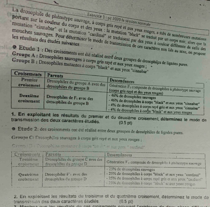 pc 2020 la session normale
La drosophile de phénotype sauvage, à corps gris rayé et aux yeux rouges, a subi de nombreuses mutations
portant sur la couleur du corps et des yeux : la mutation 'black'' se traduit par un corps noir, alors que la
mutation "cinnabar" et la mutation "cardinal" se traduisent par des yeux à couleur différente de celle des
les résultats des étudés suivantes :
mouches sauvages. Pour déterminer le mode de transmission de ces caractères non liés au sexe, on propose
* Étude 1 : Des croisements ont été réalisé entré deux groupes de drosophiles de lignées pures,
Groupe A : Drosophiles sauvages à corps gris rayé et aux yeux rouges ;
Groupe B : Drosophiles mutantes à corps 
premier et du deuxième croisement, déterminez le mode de
transmission des deux caractères étudiés. (0.5 pt)
Etude 2: des croisements ont été réalisé entre deux groupes de drosóphiles de lignées pures.
Groupe C: Drosophiles sauvages à corps gris rayé et aux yeux rouges ;
Gronp i D e Diosophlles mutantes à corps 'birck" et aux youx ' cardinal!"
2. En exploitant les résultats du troisième et du quatrième croisement, déterminez le mode de
transmission des deux caractères étudiés. (0.5 pt)