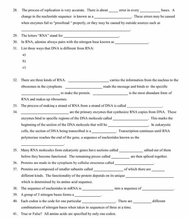 The process of replication is very accurate. There is about _error in every _bases. A 
change in the nucleotide sequence is known as a _. These errors may be caused 
when enzymes fail to “proofread “ properly, or they may be caused by outside sources such as 
_ 
29. The letters “RNA” stand for 
_. 
30. In RNA, adenine always pairs with the nitrogen base known as_ 
31. List three ways that DNA is different from RNA: 
a) 
b) 
c) 
_ 
32. There are three kinds of RNA. carries the information from the nucleus to the 
ribosomes in the cytoplasm. _reads the message and binds to the specific 
_to make the protein. _is the most abundant form of 
RNA and makes up ribosomes. 
33. The process of making a strand of RNA from a strand of DNA is called_ 
. 
34. _are the primary enzymes that synthesize RNA copies from DNA. These 
enzymes bind to specific regions of the DNA molecule called _. This marks the 
beginning of the section of the DNA molecule that will be_ . In eukaryotic 
cells, the section of DNA being transcribed is a _. Transcription continues until RNA 
polymerase reaches the end of the gene, a sequence of nucleotides known as the 
_. 
35. Many RNA molecules from cukaryotic genes have sections called _edited out of them 
before they become functional. The remaining pieces called_ are then spliced together. 
36. Proteins are made in the cytoplasm by cellular structures called_ 
37. Proteins are composed of smaller subunits called _of which there are_ 
different kinds. The functionality of the protein depends on its unique_ 
which is determined by its amino acid sequence. 
38. The sequence of nucleotides in mRNA is _into a sequence of_ . 
39. A group of 3 nitrogen bases forms a _ . 
40. Each codon is the code for one particular_ . There are_ different 
combinations of nitrogen bases when taken in sequences of three at a time. 
41. True or False? All amino acids are specified by only one codon.