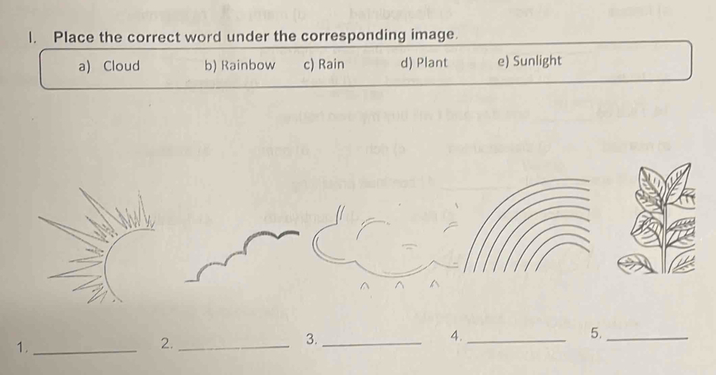 Place the correct word under the corresponding image.
a) Cloud b) Rainbow c) Rain d) Plant e) Sunlight
4._
5._
1._
2._
3._