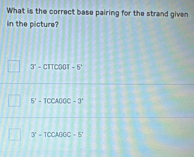 What is the correct base pairing for the strand given
in the picture?
3' - CTTCGGT - 5'
5' - TCCAGGC - 3'
3' - TCCAGGC - 5'