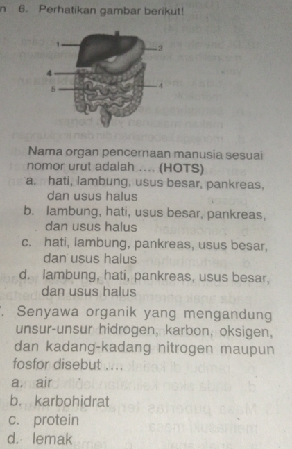 Perhatikan gambar berikut!
Nama organ pencernaan manusia sesuai
nomor urut adalah .... (HOTS)
a. hati, lambung, usus besar, pankreas,
dan usus halus
b. lambung, hati, usus besar, pankreas,
dan usus halus
c. hati, lambung, pankreas, usus besar,
dan usus halus
d. lambung, hati, pankreas, usus besar,
dan usus halus
. Senyawa organik yang mengandun
unsur-unsur hidrogen, karbon, oksigen,
dan kadang-kadang nitrogen maupun
fosfor disebut ....
axair
b. karbohidrat
c. protein
d. lemak