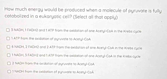 How much energy would be produced when a molecule of pyruvate is fully
catabolized in a eukaryotic cell? (Select all that apply)
3 NADH, 1 FADH2 and 1 ATP from the oxidation of one Acetyl-CoA in the Krebs cycle
1 ATP from the oxidation of pyruvate to Acetyl-CoA
6 NADH, 2 FADH2 and 2 ATP from the oxidation of one Acetyl-CoA in the Krebs cycle
1 NADH, 3 FADH2 and 1 ATP from the oxidation of one Acetyl-CoA in the Krebs cycle
2 NADH from the oxidation of pyruvate to Acetyl-CoA
1 NADH from the oxidation of pyruvate to Acetyl-CoA