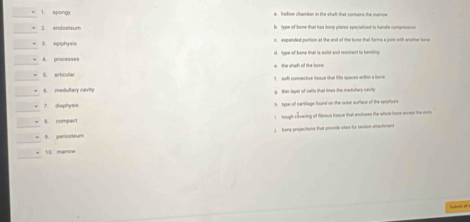 spongy a hollow chamber in the shaft that contains the marroe 
2 endosteum b. type of bone that has bony plates specialized to handle compression
_
3. epiphysis c. expanded portion at the end of the bone that forms a joint with another bone
d. type of bone that is solid and resistant to bending
_4. processes e. the shaft of the bone
_5. articular f. soft connective tissue that fills spaces within a bone
_
6. medullary cavity g. thin layer of cells that lines the medullary cavity
_
7. diaphysis h type of cartilage found on the outer surface of the epiphysis
_
B. compact i tough cevering of fibrous tissue that encloses the whole bone except the ends
j. bony projections that provide sites for tendon attachment
_
9. periosteum
10. marrow
_
Suộmit all