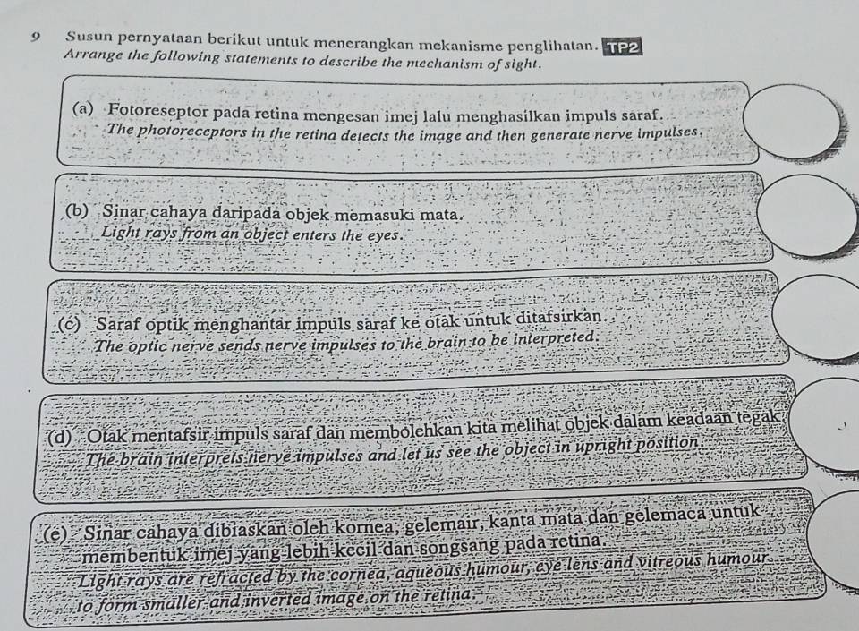 Susun pernyataan berikut untuk menerangkan mekanisme penglihatan. 
Arrange the following statements to describe the mechanism of sight. 
(a) Fotoreseptor pada retina mengesan imej lalu menghasilkan impuls saraf. 
The photoreceptors in the retina detects the image and then generate nerve impulses. 
(b) Sinar cahaya daripada objek memasuki mata. 
Light rays from an object enters the eyes. 
(c) Saraf optik menghantar impuls saraf ke otäk untuk ditafsirkan. 
The optic nerve sends nerve impulses to the brain to be interpreted. 
(d) Otak mentafsir impuls saraf dan membolehkan kita melihat objek dalam keadaan tegak 
The brain interprets nerve impulses and let us see the object in upright position 
(e) Sinñar cahaya dibiaskan oleh kornea, gelemair, kanta mata dan gelemaca untuk 
membentuk imej yang lebih kecil dan songsang pada retina. 
Light rays are refracted by the cornea, aqueous humour, eye lens and vitreous humour 
to form smaller and inverted image on the retina .