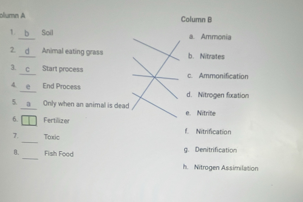 olumn A Column B
1 b Soil a. Ammonia
2. d Animal eating grass b. Nitrates
3. c Start process
c. Ammonification
4 e End Process
d. Nitrogen fixation
5. a Only when an animal is dead
e. Nitrite
6. Fertilizer
f. Nitrification
_
7. Toxic
8. Fish Food
g. Denitrification
_
h. Nitrogen Assimilation