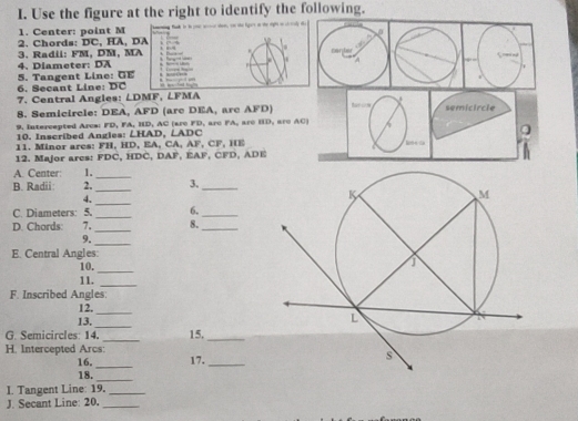 Use the figure at the right to identify the following. 
1. Center: point M
2. Chords: DC, HA, DA. 
3. Radii: FM, DM, MA 4. Diameter: DA rante. A
6. Secant Line: DC 5. Tangent Line: GE; 

7. Central Angles: ∠ DMF , LFMA
8. Semicircle: DEA, AFD (arc DEA, arc AFD) semicircle 
9. Intercepted Arcs: FD, FA, HD, AC (are FD, arc FA, are HD, are AC) 
10. Inscribed Angles: ∠HAD, LADC
Q 
11. Minor arcs: FH, HD, EA, CA, AF, CF, HE
12. Major arcs: FDC, HDC, DAF, EAF, CFD, ADE
A. Center: 1._ 
B. Radii: 2._ 3,_ 
4. 
_ 
C. Diameters: 5. _6._ 
_ 
D. Chords: 7, 8._ 
_ 
9. 
E. Central Angles: 
10. 
_ 
11. 
_ 
F. Inscribed Angles: 
12. 
_ 
13. 
_ 
_ 
G. Semicircles: 14. 15._ 
H. Intercepted Arcs: 
_ 
16. 17._ 
18. 
_ 
I. Tangent Line: 19._ 
J. Secant Line: 20._