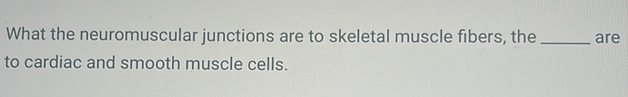 What the neuromuscular junctions are to skeletal muscle fibers, the _are 
to cardiac and smooth muscle cells.