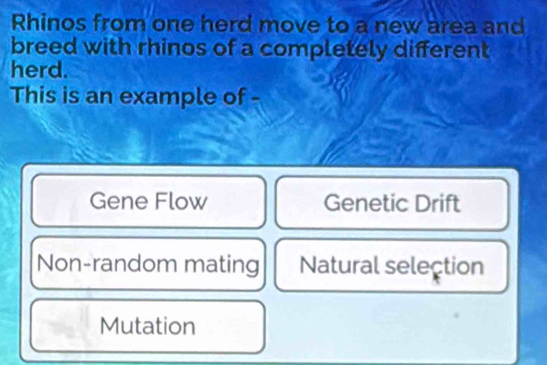 Rhinos from one herd move to a new area and
breed with rhinos of a completely different
herd.
This is an example of -
Gene Flow Genetic Drift
Non-random mating Natural selection
Mutation