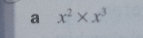 a x^2* x^3