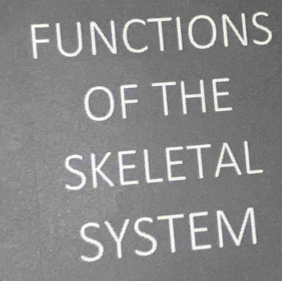 FUNCTIONS 
OF THE 
SKELETAL 
SYSTEM