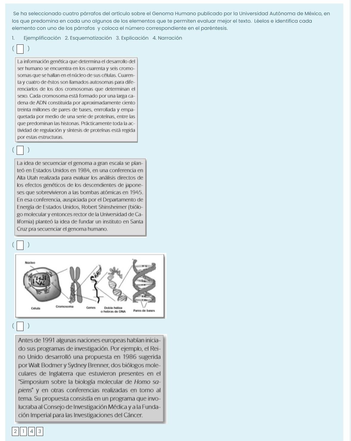 Se ha seleccionado cuatro párrafos del artículo sobre el Genoma Humano publicado por la Universidad Autónoma de México, en
los que predomina en cada uno algunos de los elementos que te permiten evaluar mejor el texto. Léelos e identifica cada
elemento con uno de los párrafos y coloca el número correspondiente en el paréntesis.
1. Ejemplificación 2. Esquematización 3. Explicación 4. Narración
La información genética que determina el desarrollo del
ser humano se encuentra en los cuarenta y seis cromo-
somas que se hallan en el núcleo de sus células. Cuaren-
ta y cuatro de éstos son llamados autosomas para dife-
renciarlos de los dos cromosomas que determinan el
sexo. Cada cromosoma está formado por una larga ca-
dena de ADN constituida por aproximadamente ciento
treinta millones de pares de bases, enrrollada y empa-
quetada por medio de una serie de proteínas, entre las
que predominan las histonas. Prácticamente toda la ac-
tividad de regulación y síntesis de proteínas está regida
por estas estructuras.
La idea de secuenciar el genoma a gran escala se plan-
teó en Estados Unidos en 1984, en una conferencia en
Alta Utah realizada para evaluar los análisis directos de
los efectos genéticos de los descendientes de japone-
ses que sobrevivieron a las bombas atómicas en 1945.
En esa conferencia, auspiciada por el Departamento de
*  Energía de Estados Unidos, Robert Shinsheimer (biólo
go molecular y entonces rector de la Universidad de Ca-
lifornia) planteó la idea de fundar un instituto en Santa
Cruz pra secuenciar el genoma humano.
(
Antes de 1991 algunas naciones europeas habían inicia-
do sus programas de investigación. Por ejemplo, el Rei-
no Unido desarrolló una propuesta en 1986 sugerida
por Walt Bodmer y Sydney Brenner, dos biólogos mole-
culares de Inglaterra que estuvieron presentes en el
Simposium sobre la biología molecular de Homo sα-
piens' y en otras conferencias realizadas en torno al
tema. Su propuesta consistía en un programa que invo--
lucraba al Consejo de Investigación Médica y a la Funda-
ción Imperial para las Investigaciones del Cáncer.
2 1 4 3