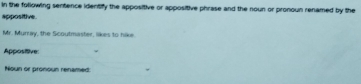 in the following sentence identify the appositive or appositive phrase and the noun or pronoun renamed by the 
appositive. 
Mr. Murray, the Scoutmaster, likes to hike 
Appositive: 
Noun or pronoun renamed: