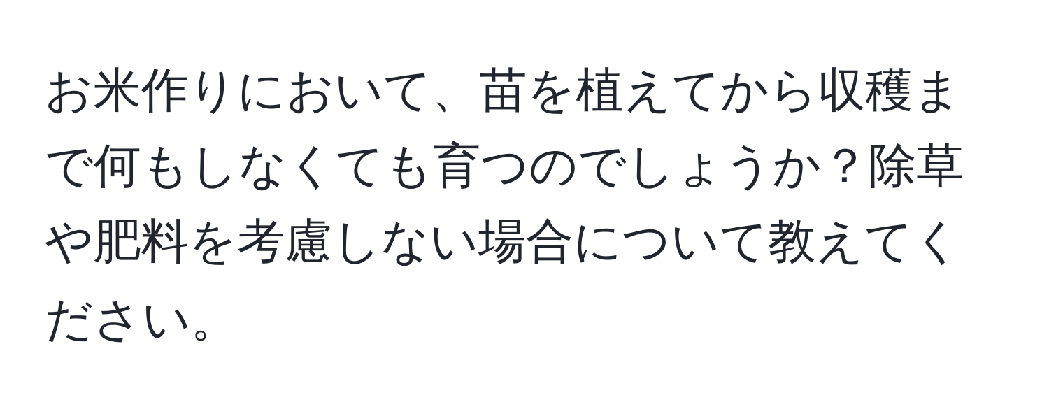 お米作りにおいて、苗を植えてから収穫まで何もしなくても育つのでしょうか？除草や肥料を考慮しない場合について教えてください。