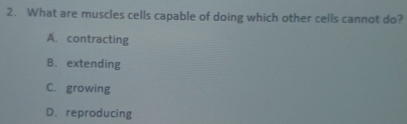 What are muscles cells capable of doing which other cells cannot do?
A. contracting
B. extending
C. growing
D. reproducing