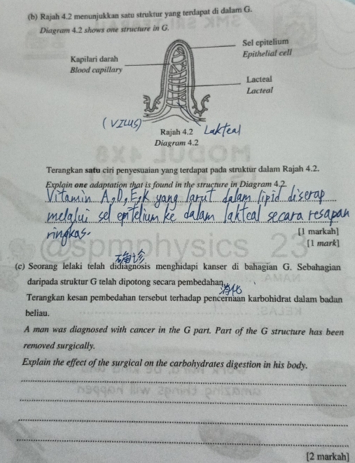 Selesai:Rajah 4.2 menunjukkan satu struktur yang terdapat di dalam G ...