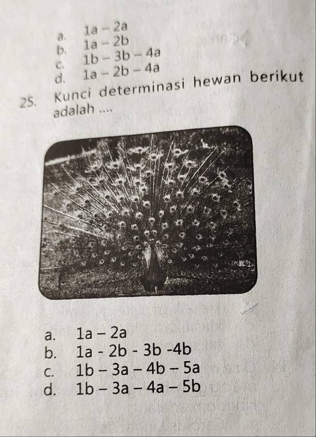 a. 1a-2a
b. 1a-2b
C. 1b-3b-4a
d. 1a-2b-4a
25. Kunci determinasi hewan berikut
adalah ....
a. 1a-2a
b. 1a-2b-3b-4b
C. 1b-3a-4b-5a
d. 1b-3a-4a-5b