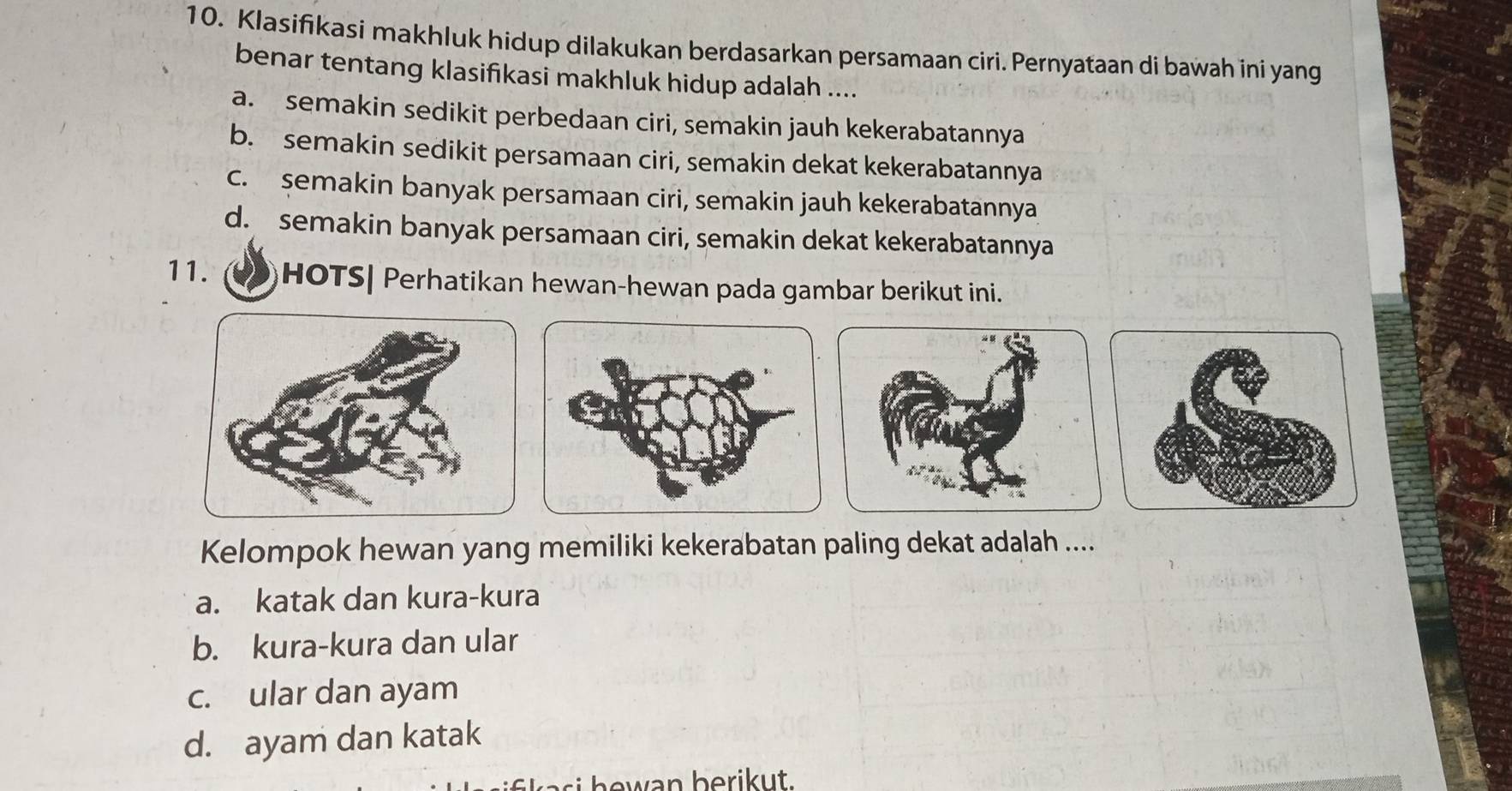 Klasifikasi makhluk hidup dilakukan berdasarkan persamaan ciri. Pernyataan di bawah ini yang
benar tentang klasifıkasi makhluk hidup adalah ....
a. semakin sedikit perbedaan ciri, semakin jauh kekerabatannya
b. semakin sedikit persamaan ciri, semakin dekat kekerabatannya
c. semakin banyak persamaan ciri, semakin jauh kekerabatannya
d. semakin banyak persamaan ciri, semakin dekat kekerabatannya
11. HOTS| Perhatikan hewan-hewan pada gambar berikut ini.
Kelompok hewan yang memiliki kekerabatan paling dekat adalah ....
a. katak dan kura-kura
b. kura-kura dan ular
c. ular dan ayam
d. ayam dan katak
a n be rik ut.