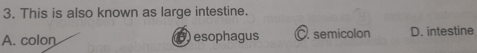 This is also known as large intestine.
A. colon C. semicolon D. intestine
esophagus