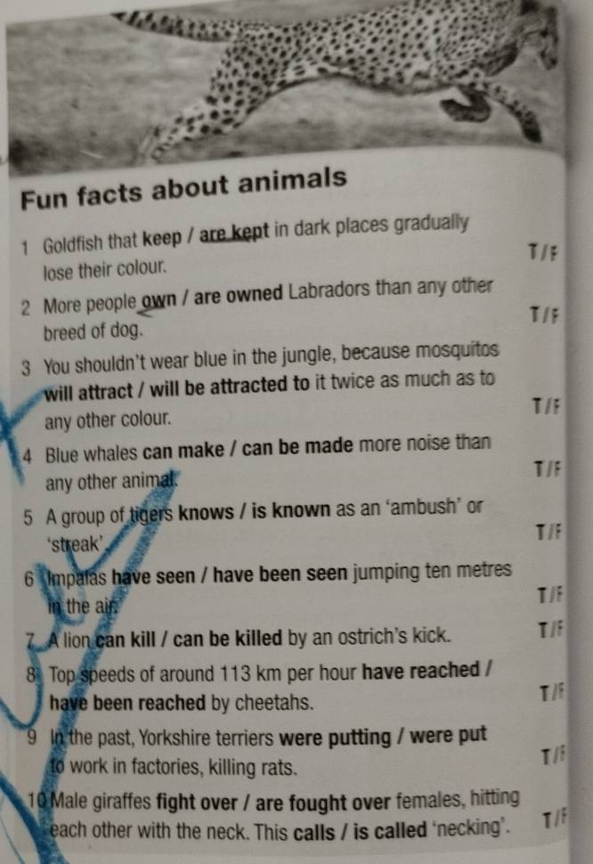 Fun facts ab
1 Goldfish that keep / are kept in dark places gradually
T/F
lose their colour.
2 More people own / are owned Labradors than any other
T/F
breed of dog.
3 You shouldn't wear blue in the jungle, because mosquitos
will attract / will be attracted to it twice as much as to
T/F
any other colour.
4 Blue whales can make / can be made more noise than
any other animal.
T/F
5 A group of tigers knows / is known as an ‘ambush’ or
T /i
‘streak’
6 Impalas have seen / have been seen jumping ten metres
in the air.
T/i
7 A lion can kill / can be killed by an ostrich's kick. T/i
8 Top speeds of around 113 km per hour have reached /
have been reached by cheetahs.
T/i
9 In the past, Yorkshire terriers were putting / were put
to work in factories, killing rats. T/i
10 Male giraffes fight over / are fought over females, hitting
each other with the neck. This calls / is called 'necking". T /í