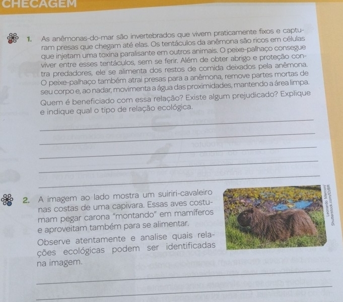 CHECAGEM 
1 As anêmonas-do-mar são invertebrados que vivem praticamente fixos e captu- 
ram presas que chegam até elas. Os tentáculos da anêmona são ricos em células 
que injetam uma toxina paralisante em outros animais. O peixe-palhaço consegue 
viver entre esses tentáculos, sem se ferir. Além de obter abrigo e proteção con- 
tra predadores, ele se alimenta dos restos de comida deixados pela anêmona. 
O peixe-palhaço também atrai presas para a anêmona, remove partes mortas de 
seu corpo e, ao nadar, movimenta a água das proximidades, mantendo a área limpa. 
Quem é beneficiado com essa relação? Existe algum prejudicado? Explique 
_ 
e indique qual o tipo de relação ecológica. 
_ 
_ 
_ 
_ 
2. A imagem ao lado mostra um suiriri-cavaleiro 
nas costas de uma capivara. Essas aves costu- 
mam pegar carona “montando” em mamíferos 
e aproveitam também para se alimentar. 
Observe atentamente e analise quais rela- 
ções ecológicas podem ser identificadas 
_ 
na imagem. 
_