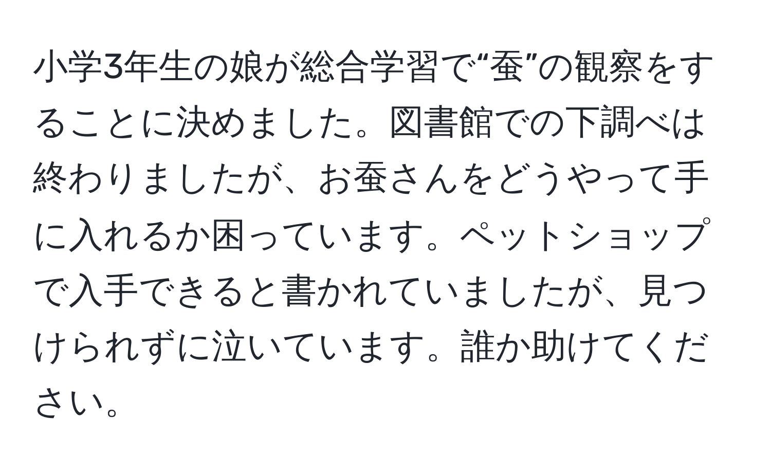 小学3年生の娘が総合学習で“蚕”の観察をすることに決めました。図書館での下調べは終わりましたが、お蚕さんをどうやって手に入れるか困っています。ペットショップで入手できると書かれていましたが、見つけられずに泣いています。誰か助けてください。