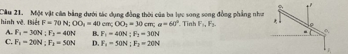 Q_ 
Câu 21. Một vật cân bằng dưới tác dụng đồng thời của ba lực song song đồng phẳng như

hình vẽ. Biết F=70N; OO_1=40cm; OO_2=30cm; alpha =60°. Tinh F_1, F_2. 。
A. F_1=30N; F_2=40N B. F_1=40N; F_2=30N
a 。,
C. F_1=20N; F_2=50N D. F_1=50N; F_2=20N
F_3