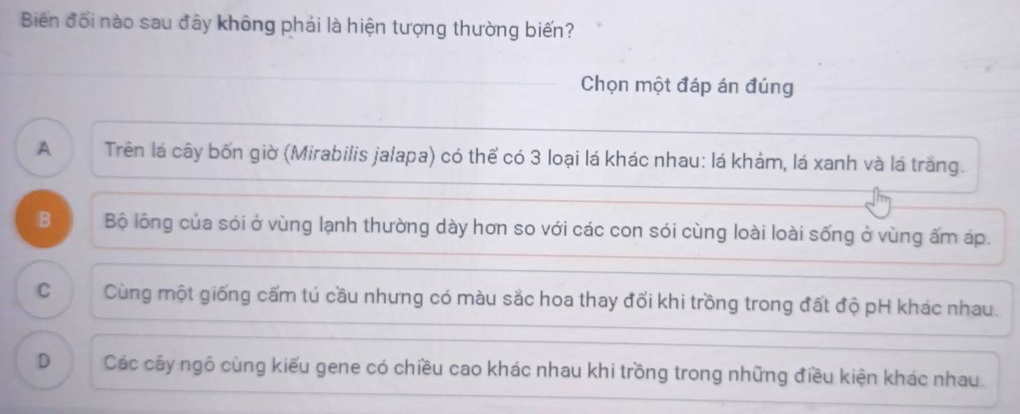 Biến đối nào sau đây không phải là hiện tượng thường biến?
Chọn một đáp án đúng
A Trên lá cây bốn giờ (Mirabilis jalapa) có thể có 3 loại lá khác nhau: lá khảm, lá xanh và lá trăng.
B Bộ lộng của sói ở vùng lạnh thường dày hơn so với các con sói cùng loài loài sống ở vùng ấm áp.
C Cùng một giống cấm tú cầu nhưng có màu sắc hoa thay đối khi trồng trong đất độ pH khác nhau.
D Các cây ngô cùng kiểu gene có chiều cao khác nhau khi trồng trong những điều kiện khác nhau.