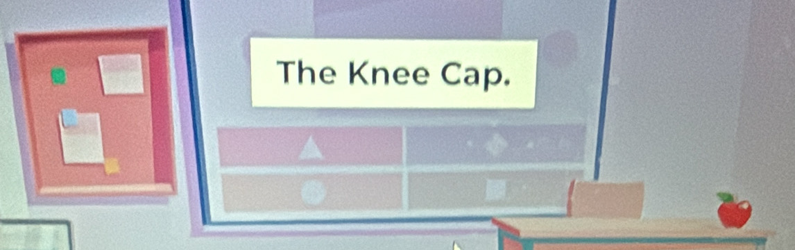 The Knee Cap.